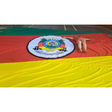 Bandeirão do Rio Grande do Sul